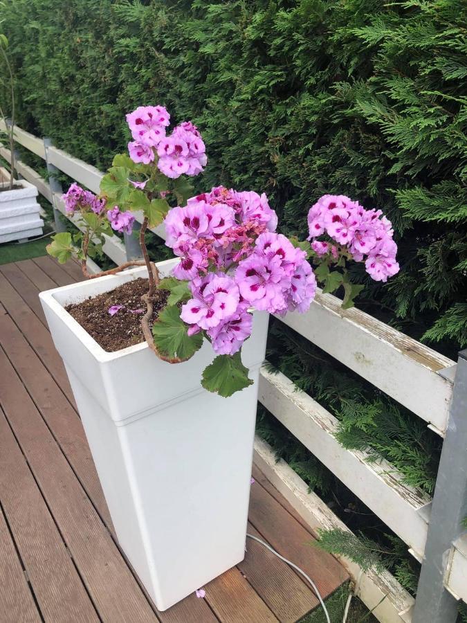 Rezidenca Primavera Apartments Durrës Eksteriør bilde